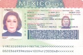 002-Мексика-виза Наташи